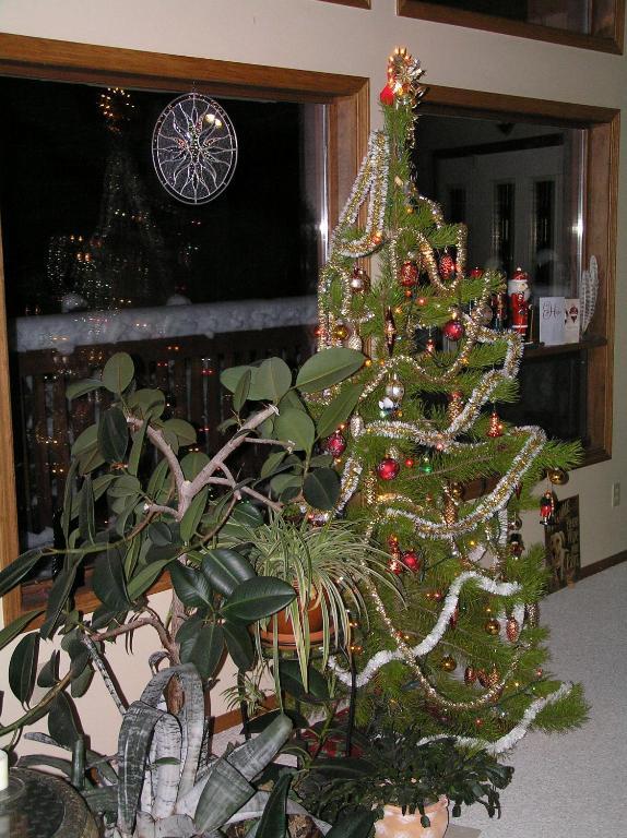 End Of The Road B & B Cranbrook Bagian luar foto