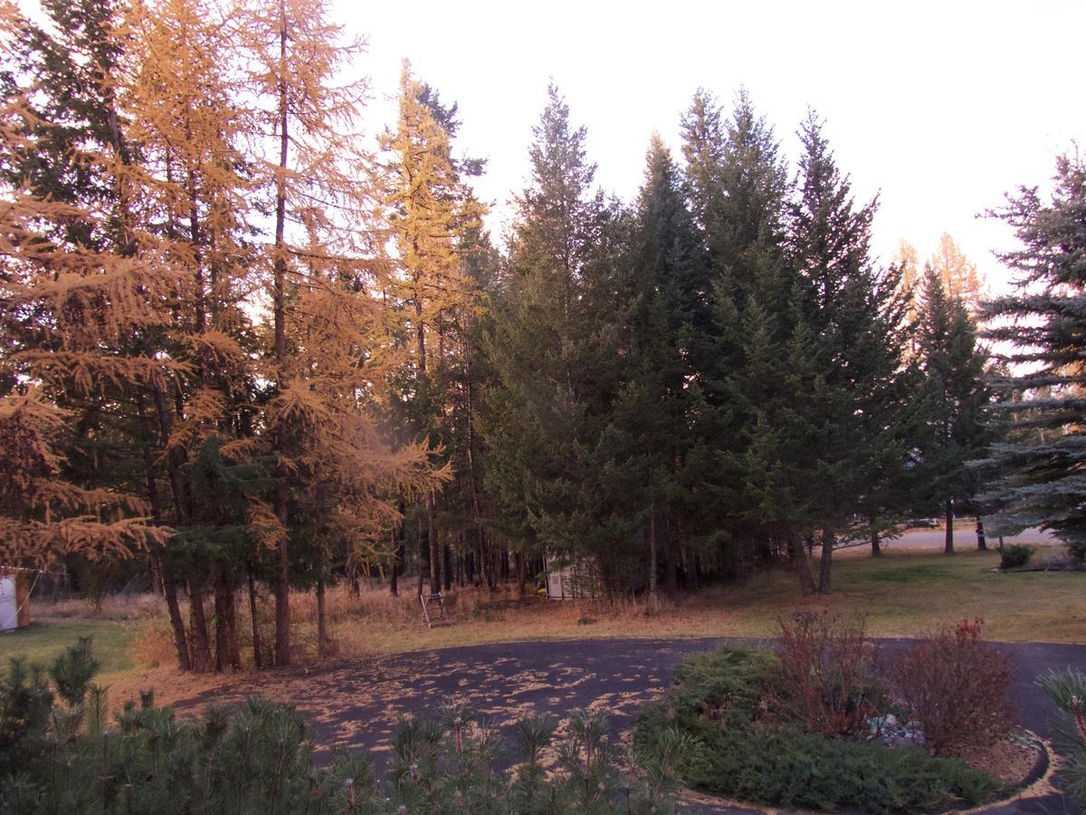 End Of The Road B & B Cranbrook Bagian luar foto