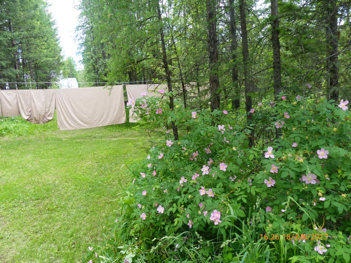 End Of The Road B & B Cranbrook Bagian luar foto